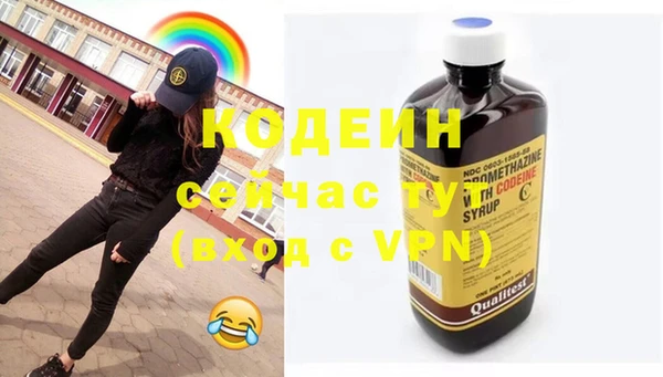 хмурый Богородицк